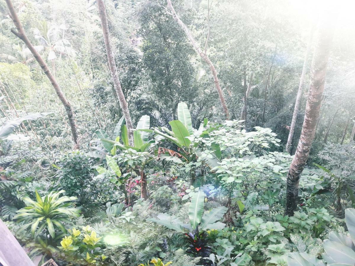 Ubud River Side House Hotel ภายนอก รูปภาพ
